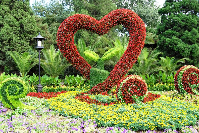 heart in a garden