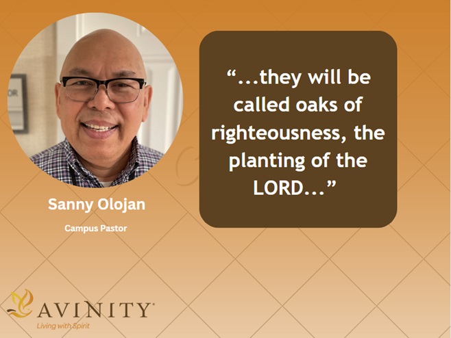 they will be called oaks of righteousness, the planting of the LORD, 