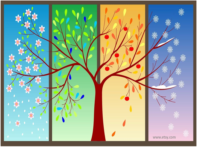 one tree showing 4 seasons